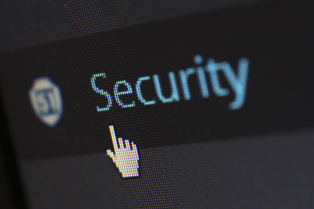IT consultant reviewing office security